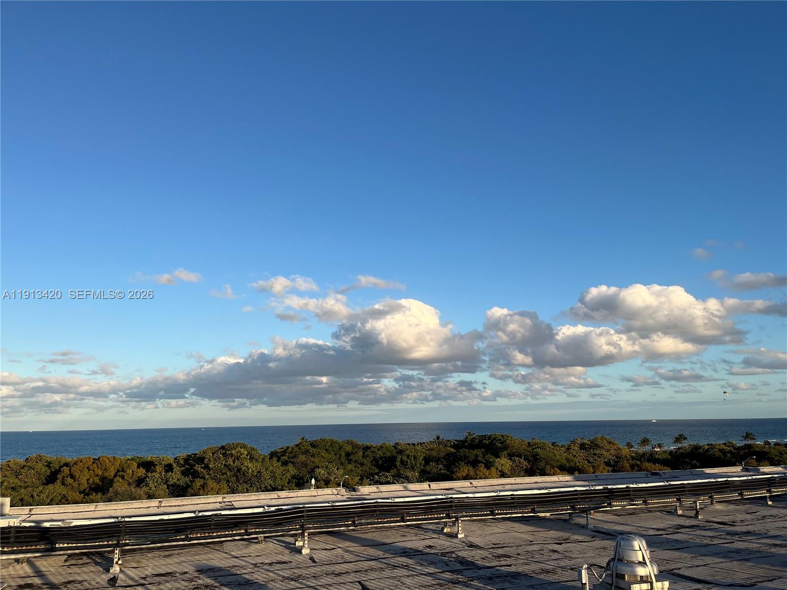 8233 Harding Avenue, Unit 305 Miami Beach, FL 33141 - Photo 37 of 39 Roof/pool