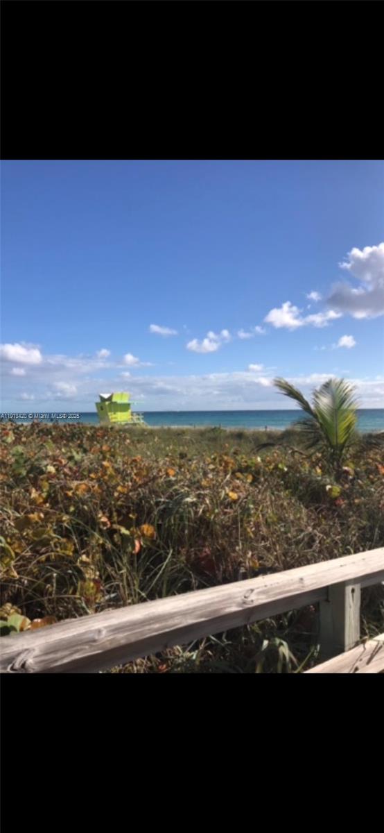 8233 Harding Avenue, Unit 305 Miami Beach, FL 33141 - Photo 44 of 46 a view of an ocean from a balcony
