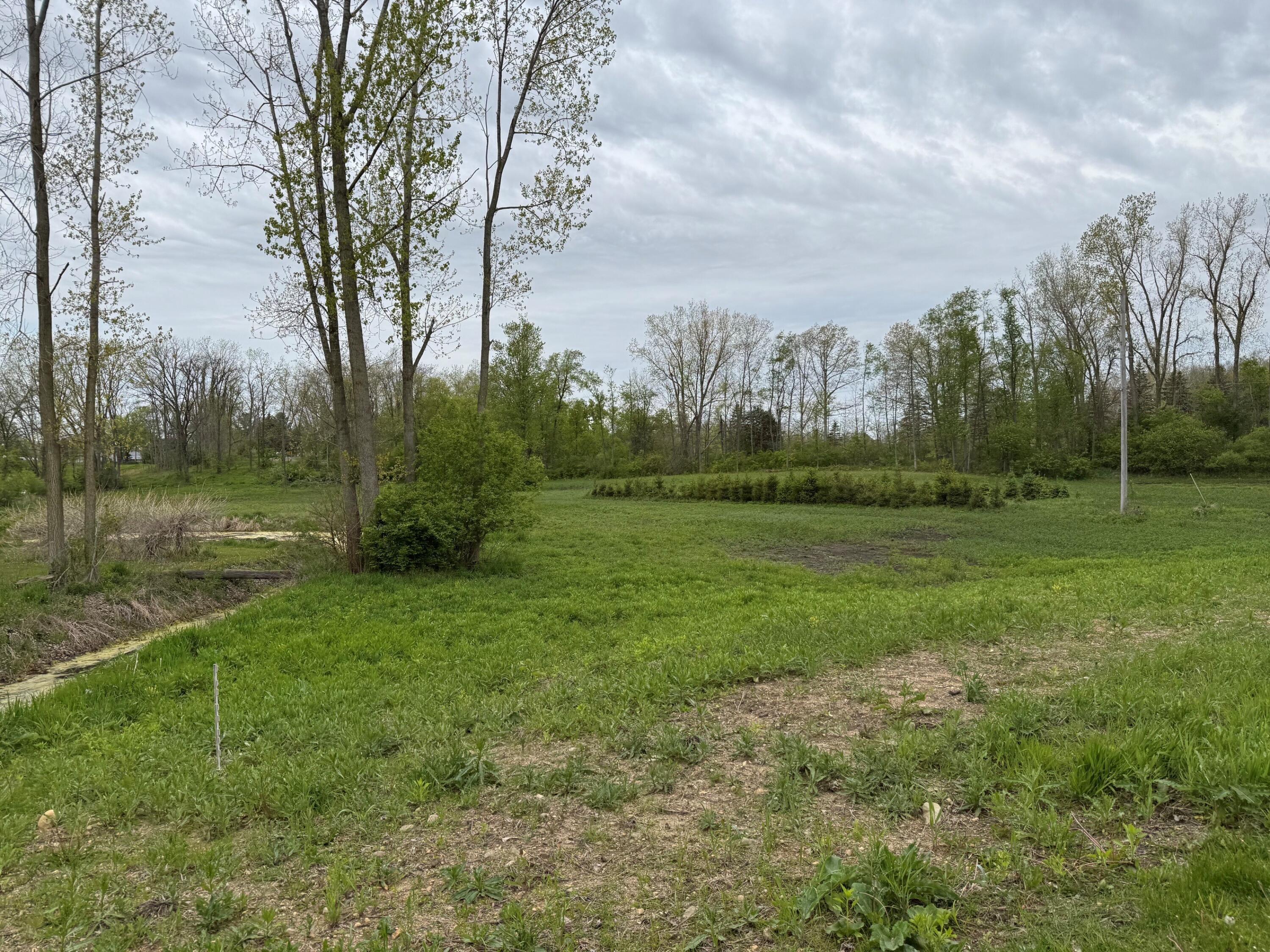 0 Reynolds Road Hillsdale, MI 49242 - Photo 3 of 5 1