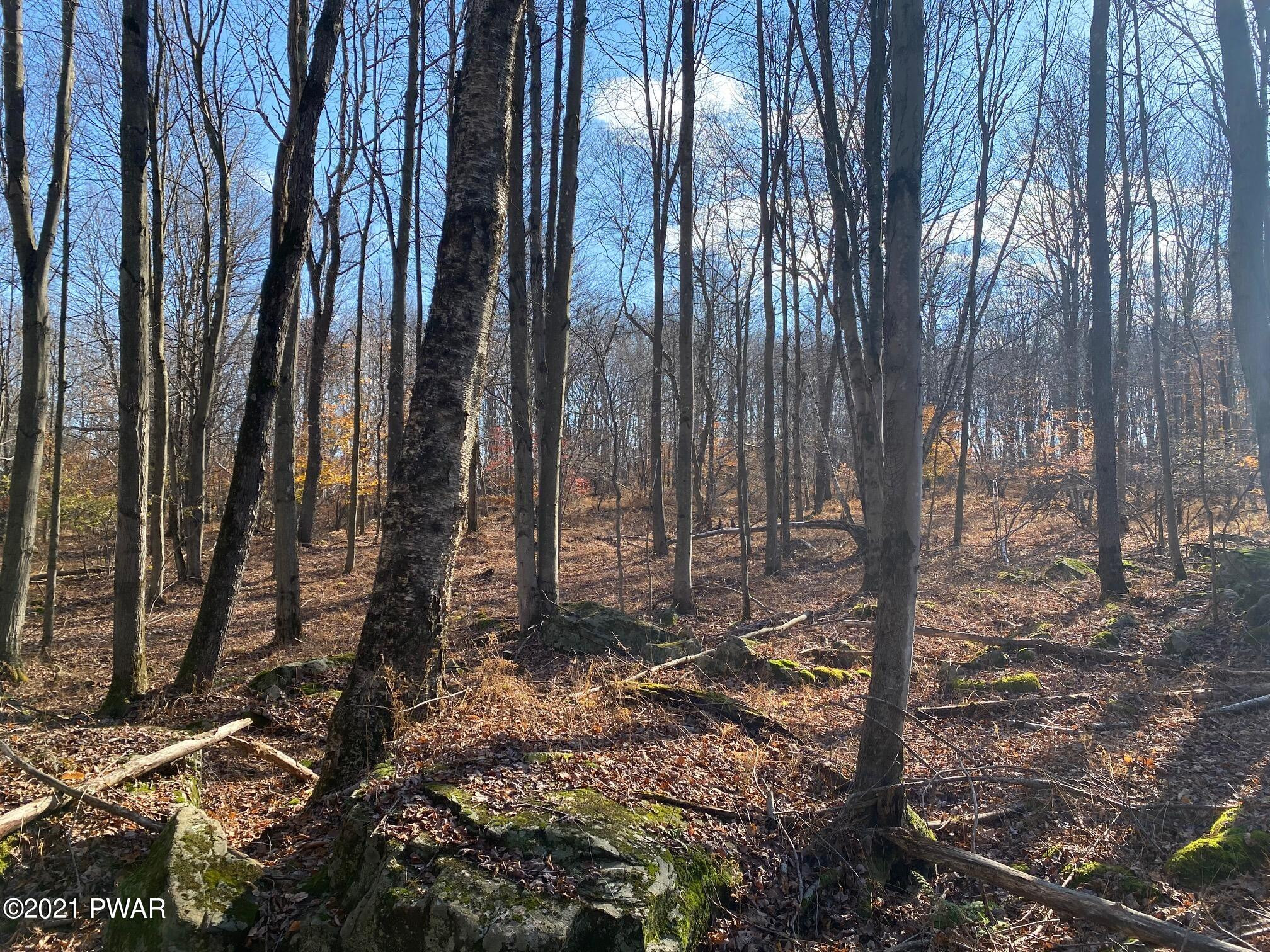 Hemlock Road Waymart, PA 18472 - Photo 1 of 5