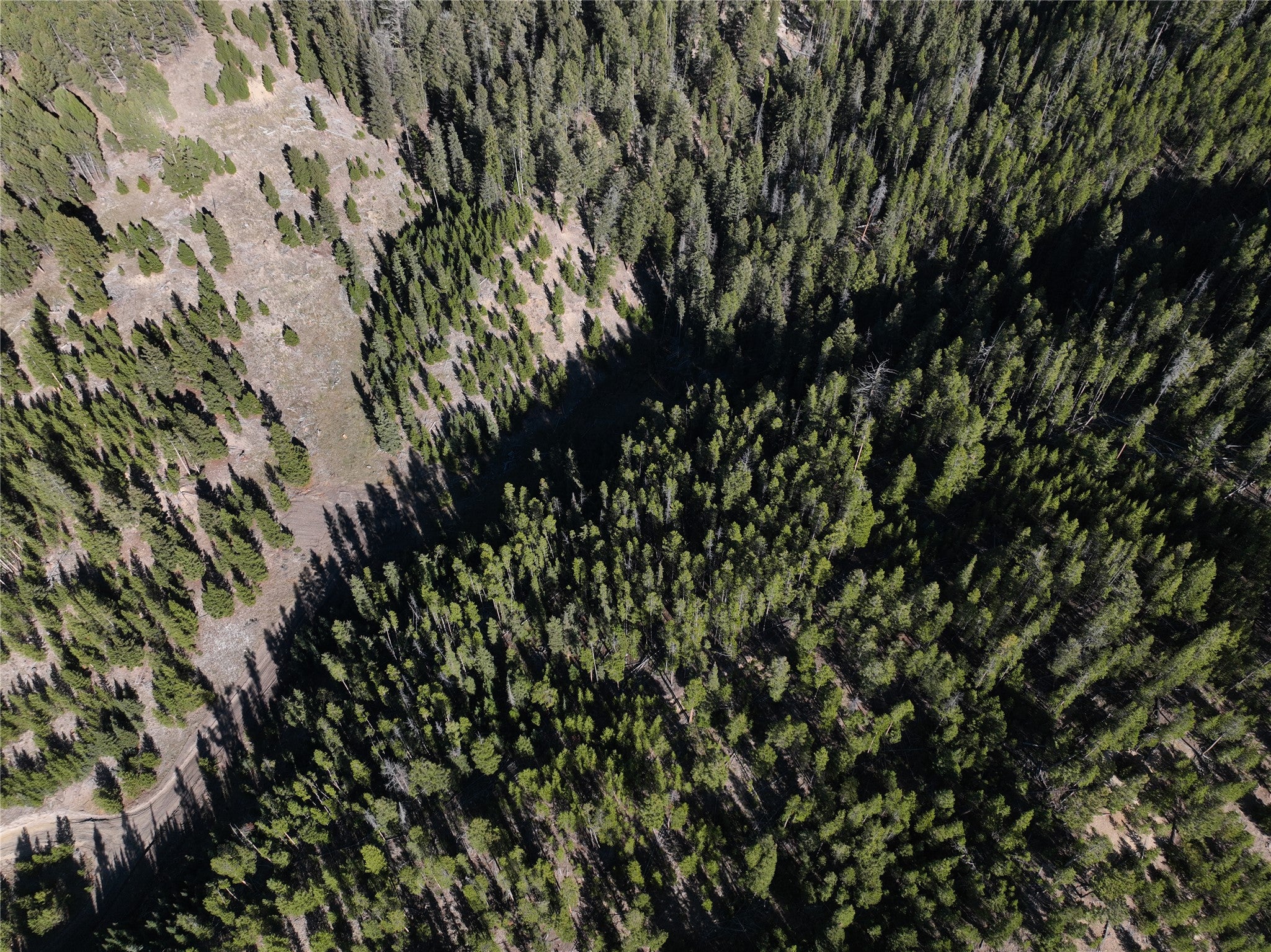 Lot 7 Ruby Mine Road Butte, MT 59701 - Photo 7 of 25 Gallery Image 7