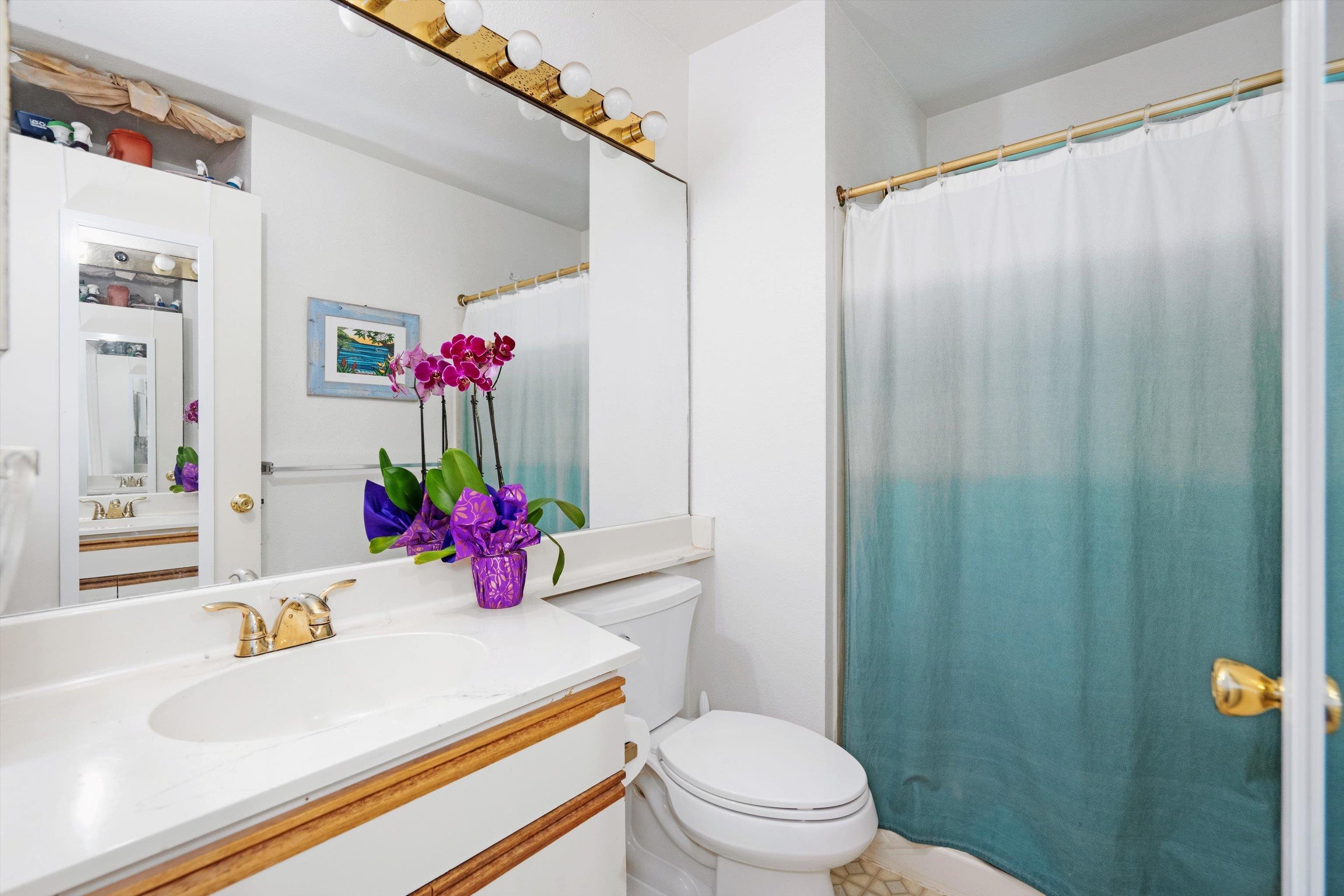 160 Keonekai Road, Unit 27201 Kihei, HI 96753 - Photo 11 of 29 a bathroom with a sink toilet and shower