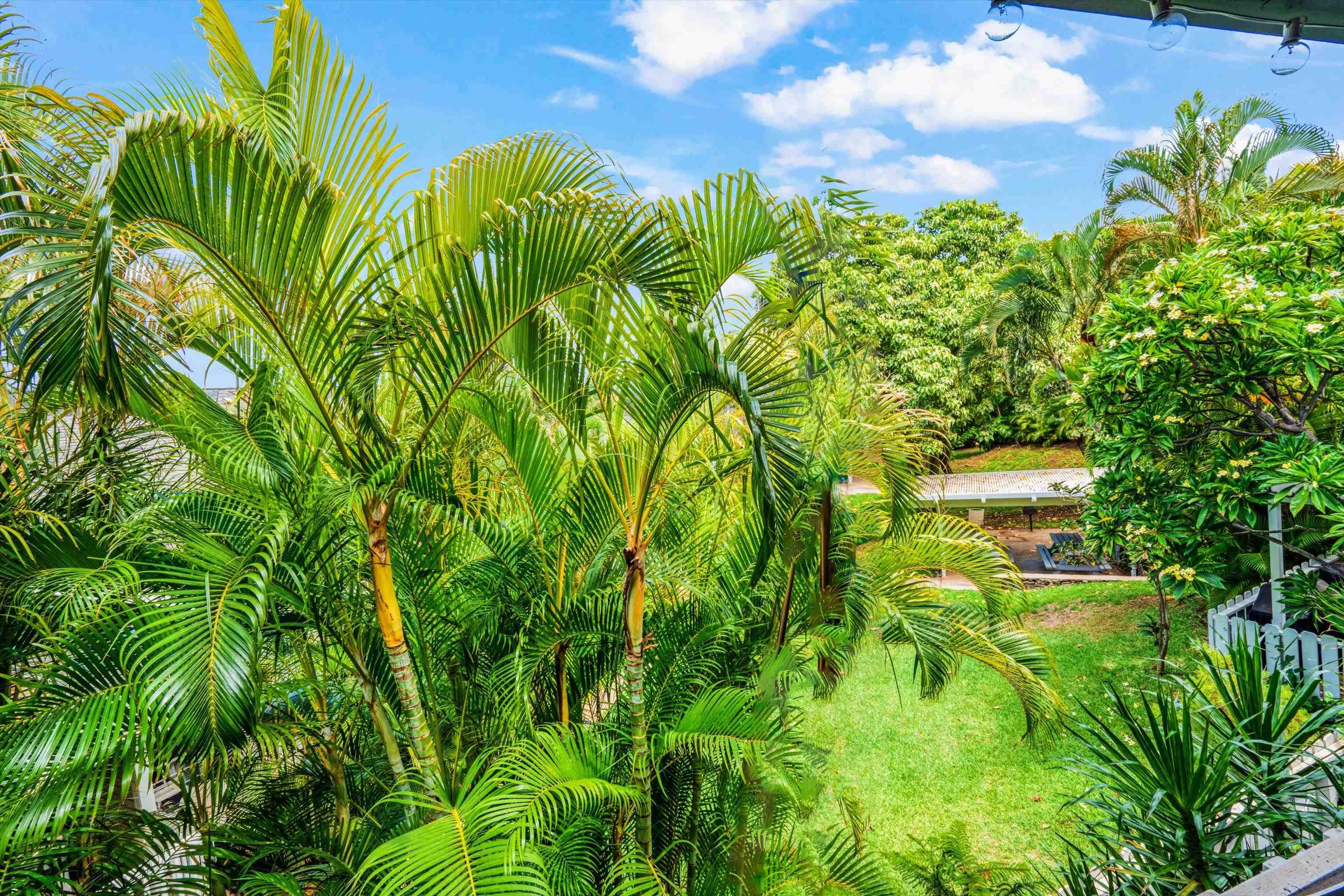 160 Keonekai Road, Unit 27201 Kihei, HI 96753 - Photo 9 of 29 a view of a garden