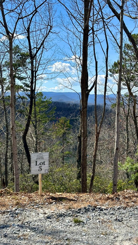 Lot 5 Blue Horizon Drive Blue Ridge, GA 30513 - Photo 7 of 18 Gallery Image 7