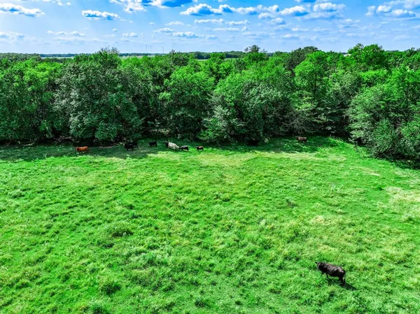 a view of yard with green space
