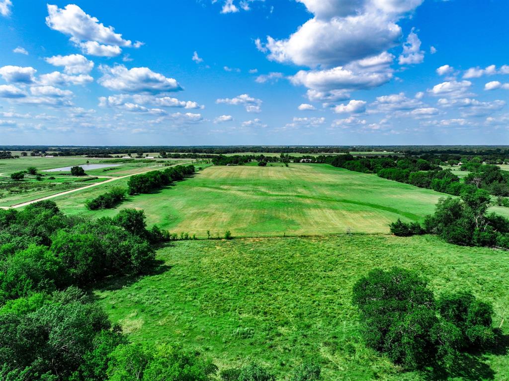 7801 West Interstate Highway Cumby, TX 75433 - Photo 9 of 32 a view of a big yard with plants and a bench