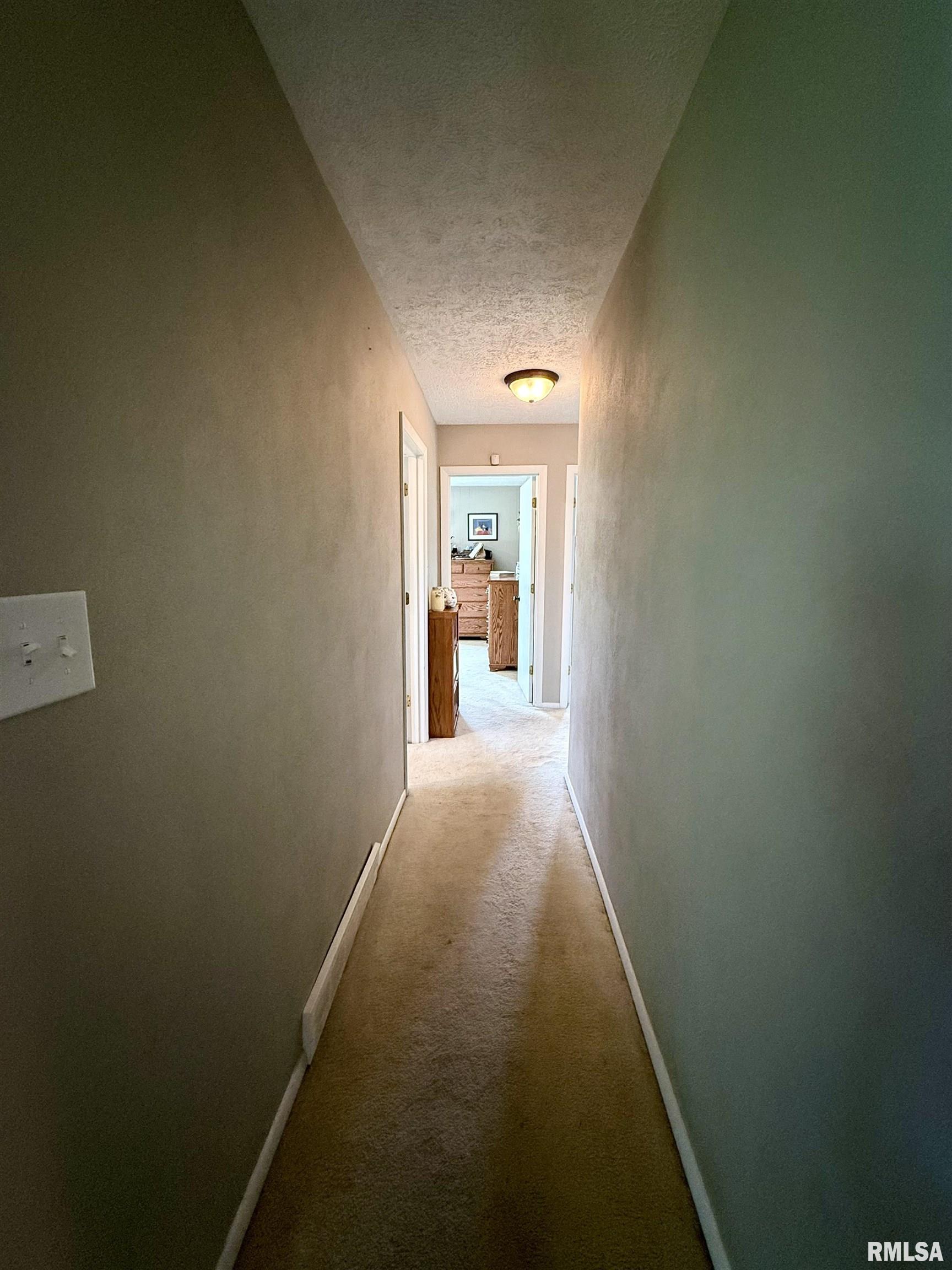 1225 Stanton Airport Road Riverton, IL 62561 - Photo 20 of 55