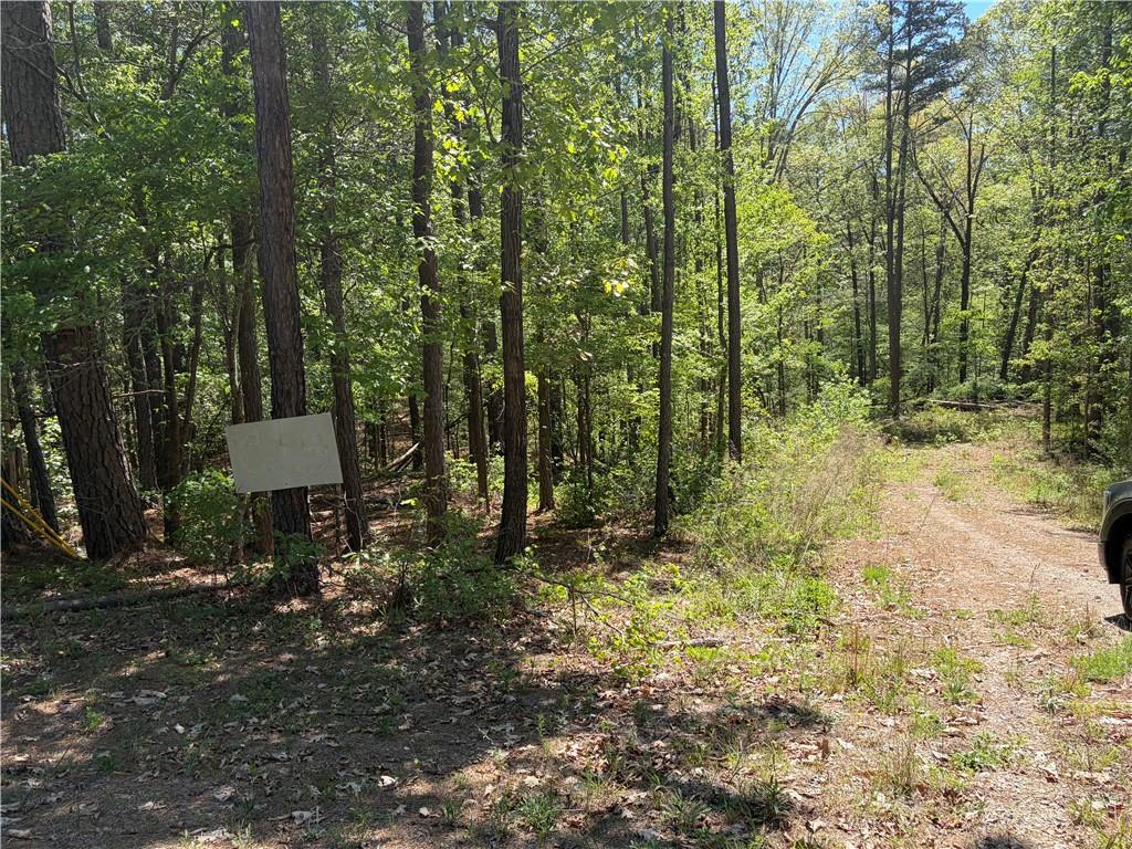 0 Gore Lakes Road Dallas, GA 30132 - Photo 1 of 3 a backyard of a house with table and chairs