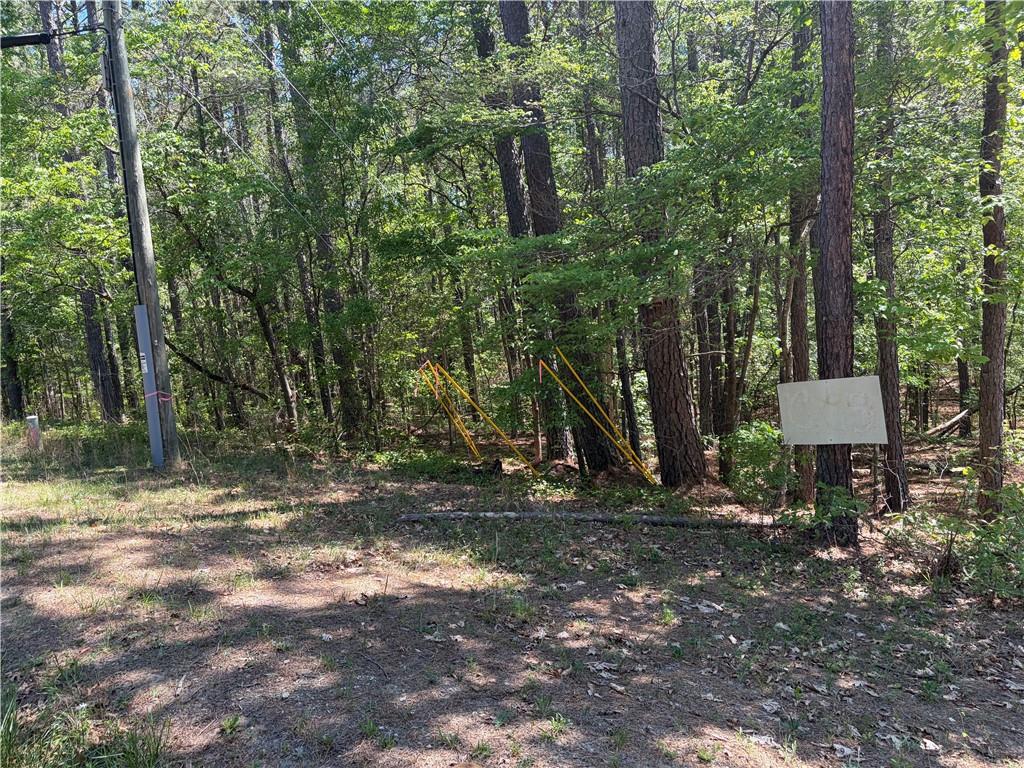 0 Gore Lakes Road Dallas, GA 30132 - Photo 2 of 3 a backyard of a house with table and chairs