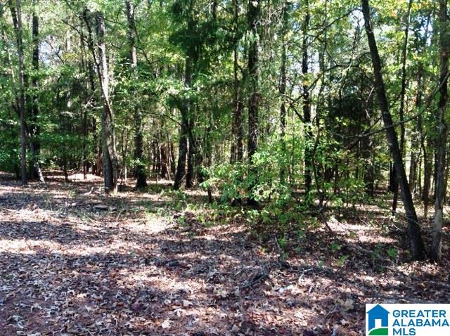 0 Whispering Pines Road, Unit 1 AMD 2 Oxford, AL 36203 - Photo 16 of 30