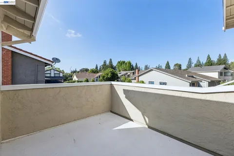 a view of roof and potted plants