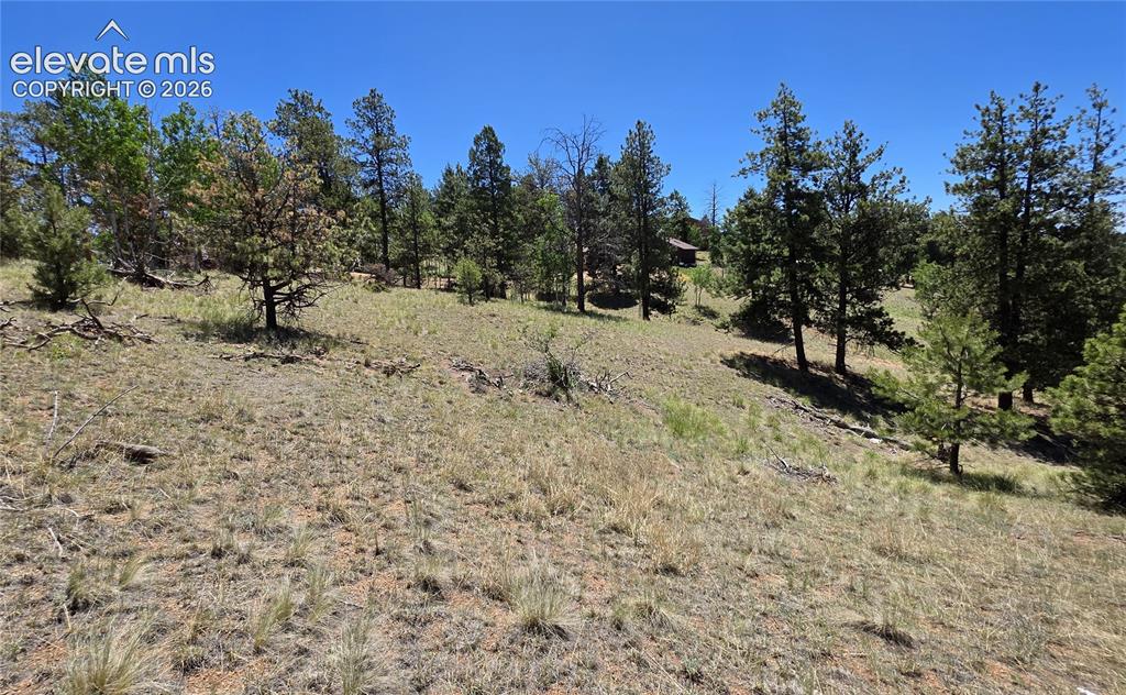1366 North Mountain Estates Road Florissant, CO 80816 - Photo 4 of 16