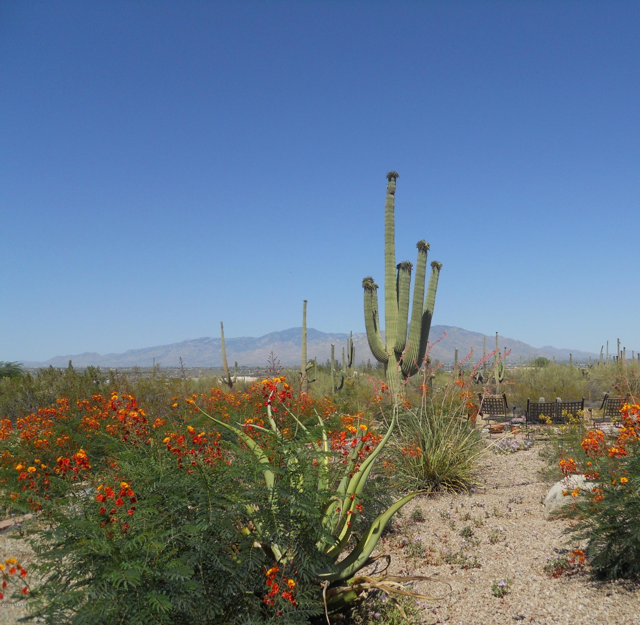 7060 North Wade Road Tucson, AZ 85743 - Photo 7 of 37 Gallery Image 7