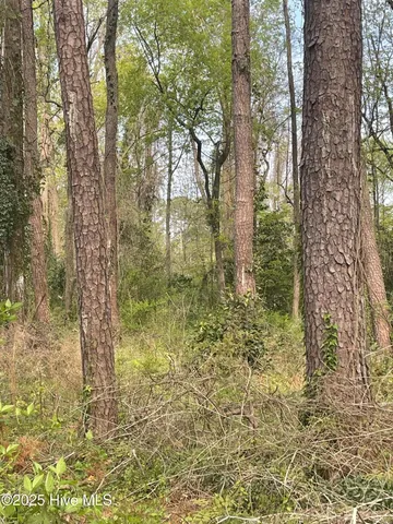 $79,900 | 3 Sweetbriar Circle, Kinston, NC 28501