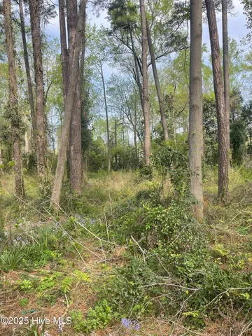 $79,900 | 3 Sweetbriar Circle, Kinston, NC 28501