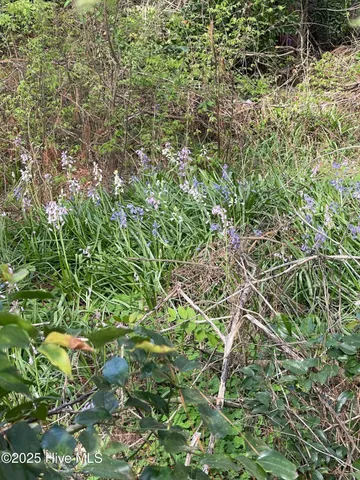 $79,900 | 3 Sweetbriar Circle, Kinston, NC 28501