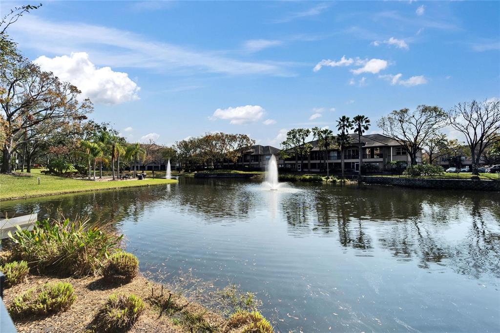 845 Normandy Trace Road Tampa, FL 33602 - Photo 46 of 53