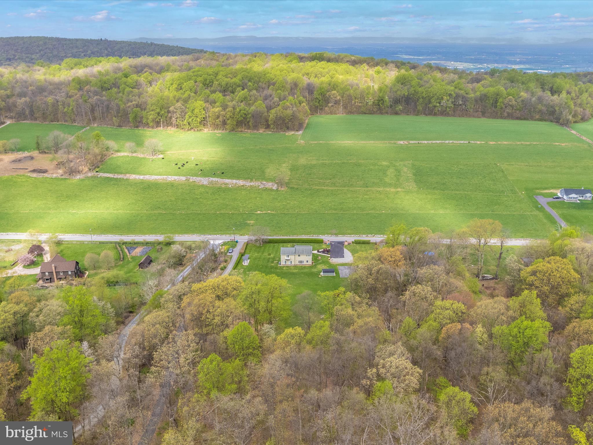 The whole 3.86 acres!