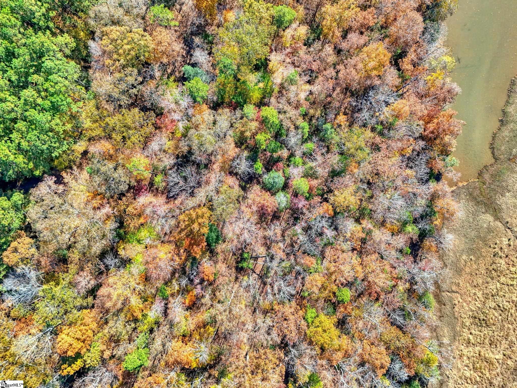 1073 Boyds Mill Pond Road Laurens, SC 29360 - Photo 13 of 23