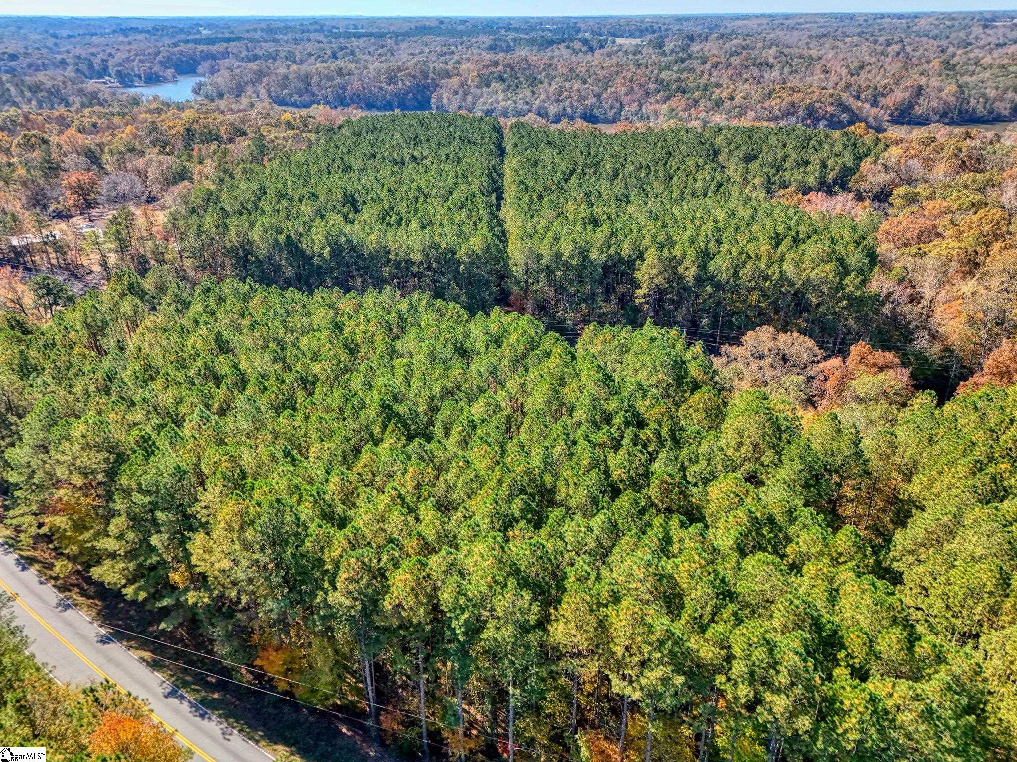 1073 Boyds Mill Pond Road Laurens, SC 29360 - Photo 14 of 23