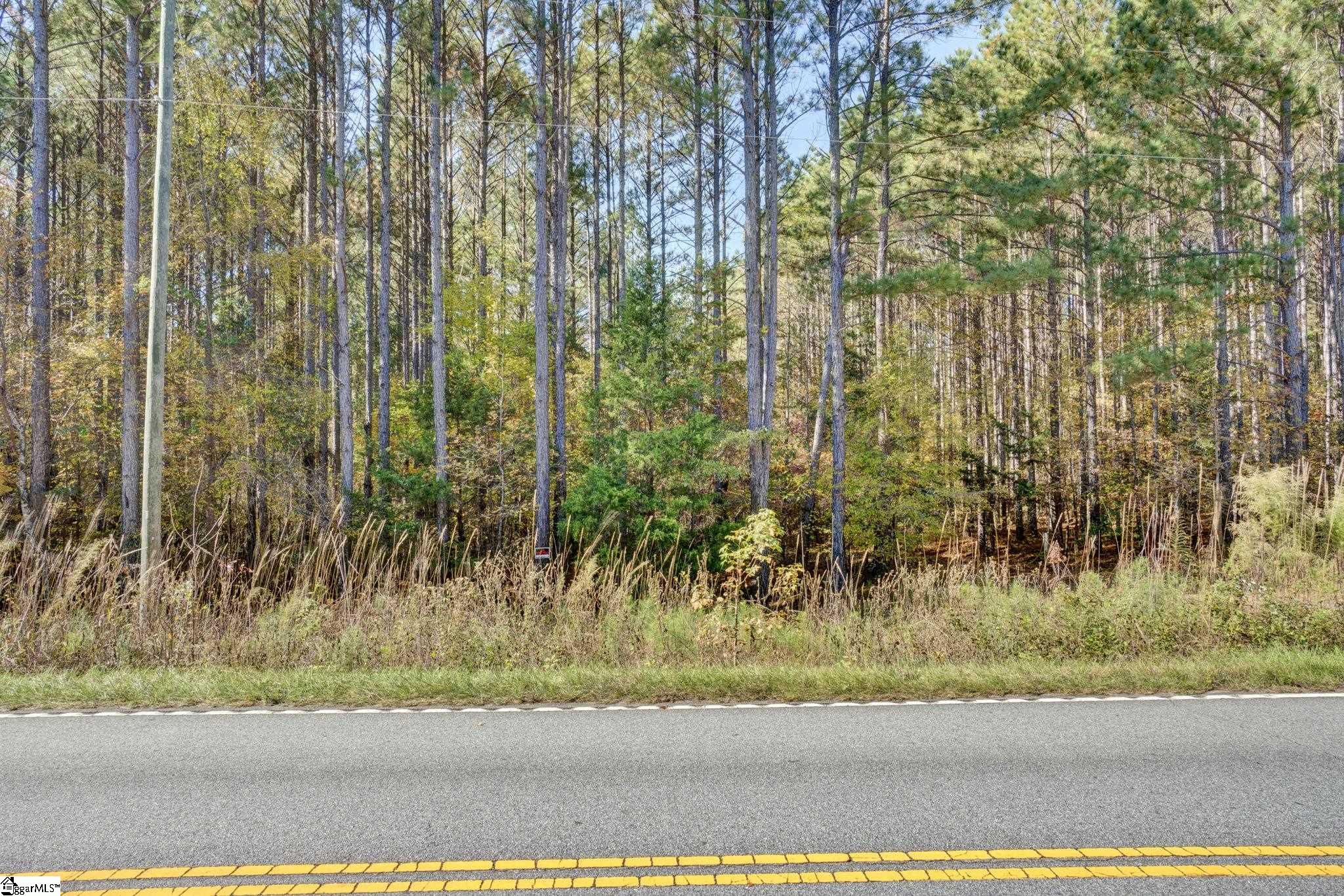 1073 Boyds Mill Pond Road Laurens, SC 29360 - Photo 17 of 23