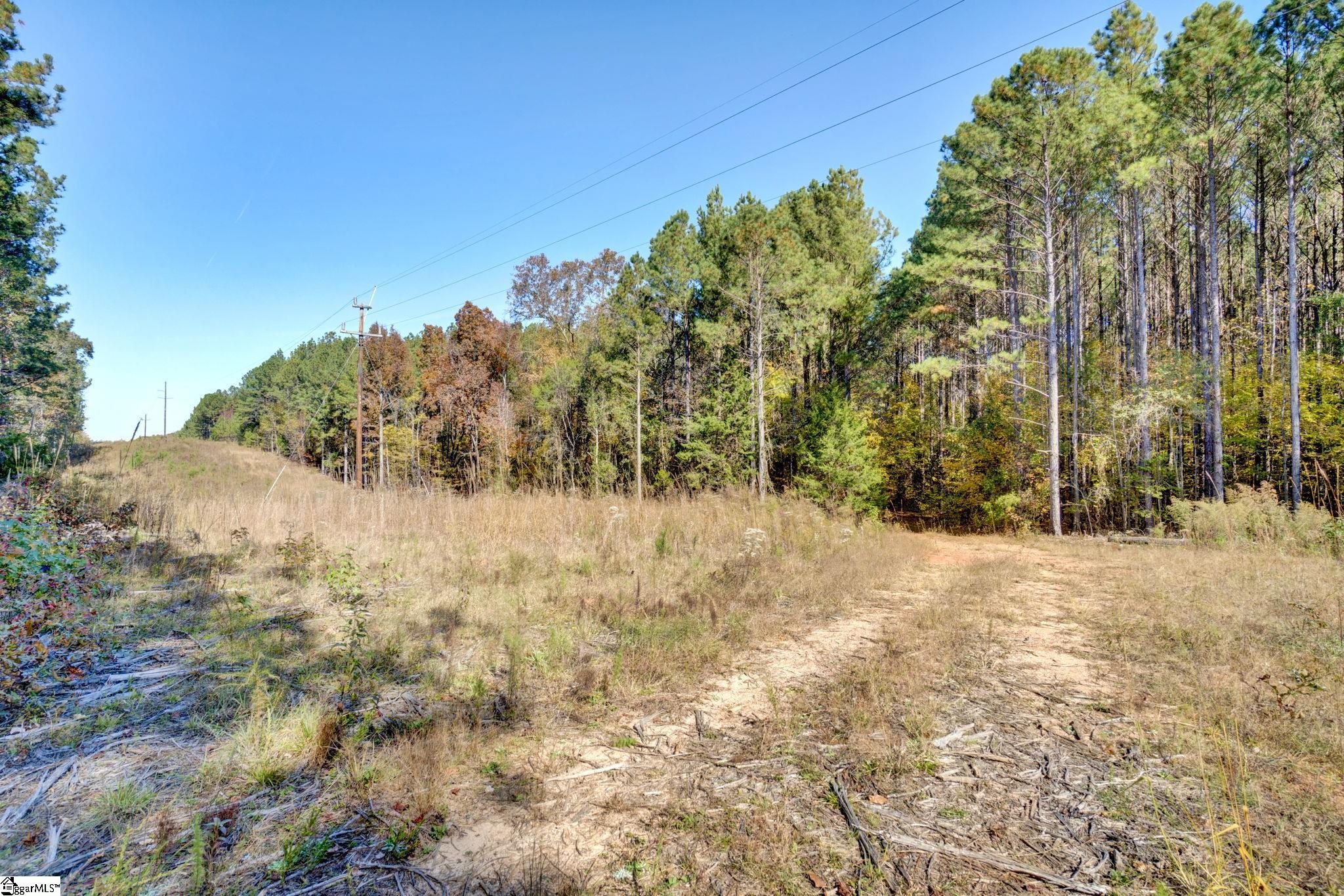 1073 Boyds Mill Pond Road Laurens, SC 29360 - Photo 19 of 23