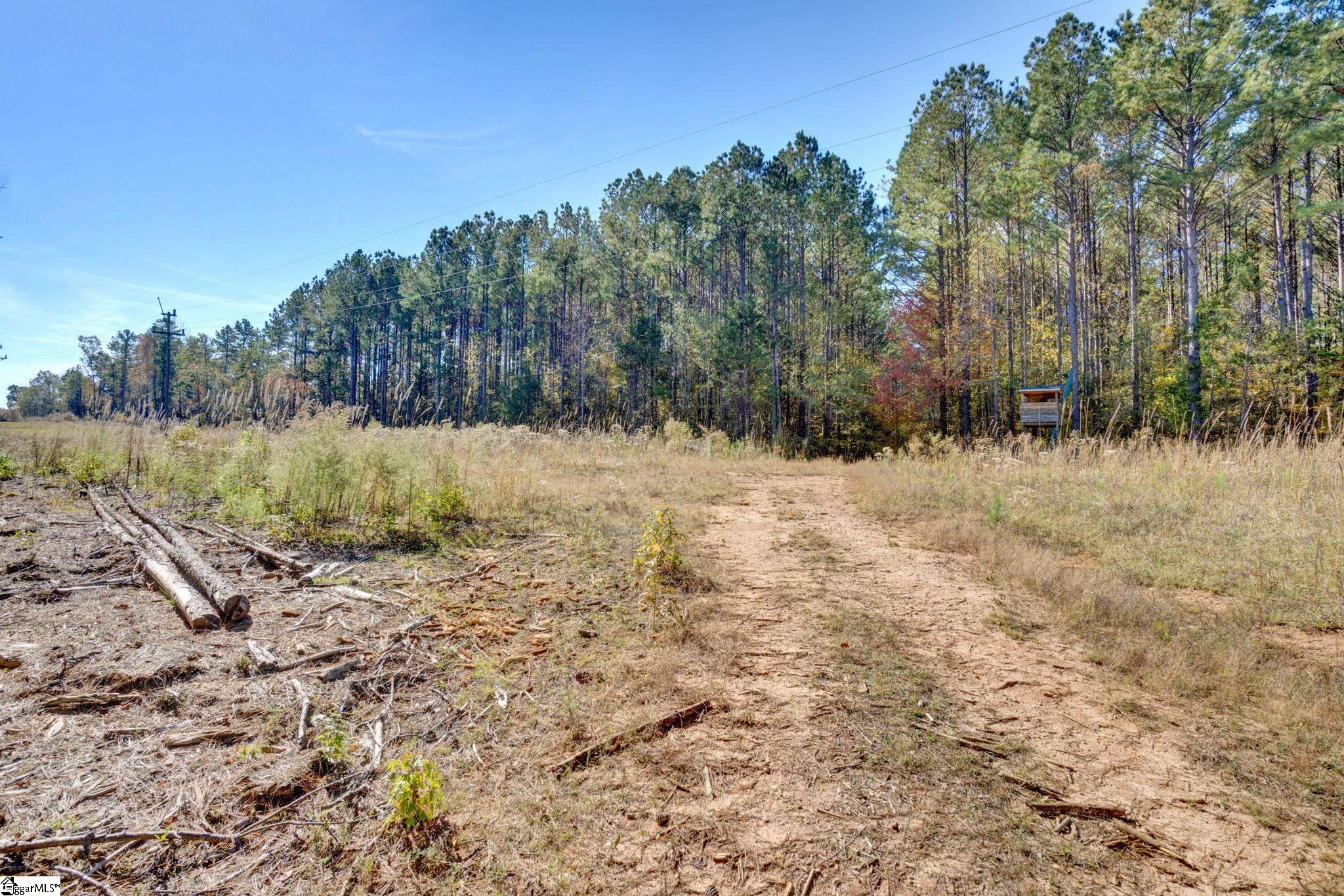 1073 Boyds Mill Pond Road Laurens, SC 29360 - Photo 20 of 23
