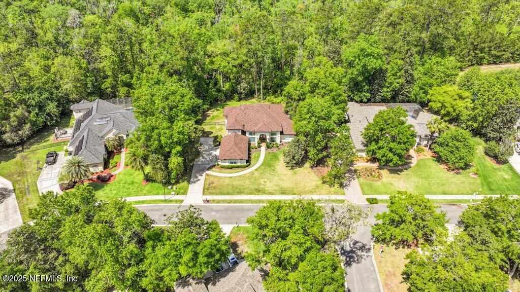 2676 Country Side Drive Fleming Island, FL 32003 - Photo 67 of 125 a view of a garden with plants and large trees
