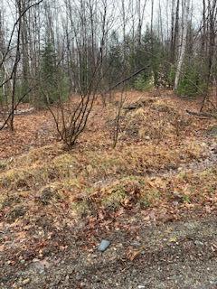 Possible driveway