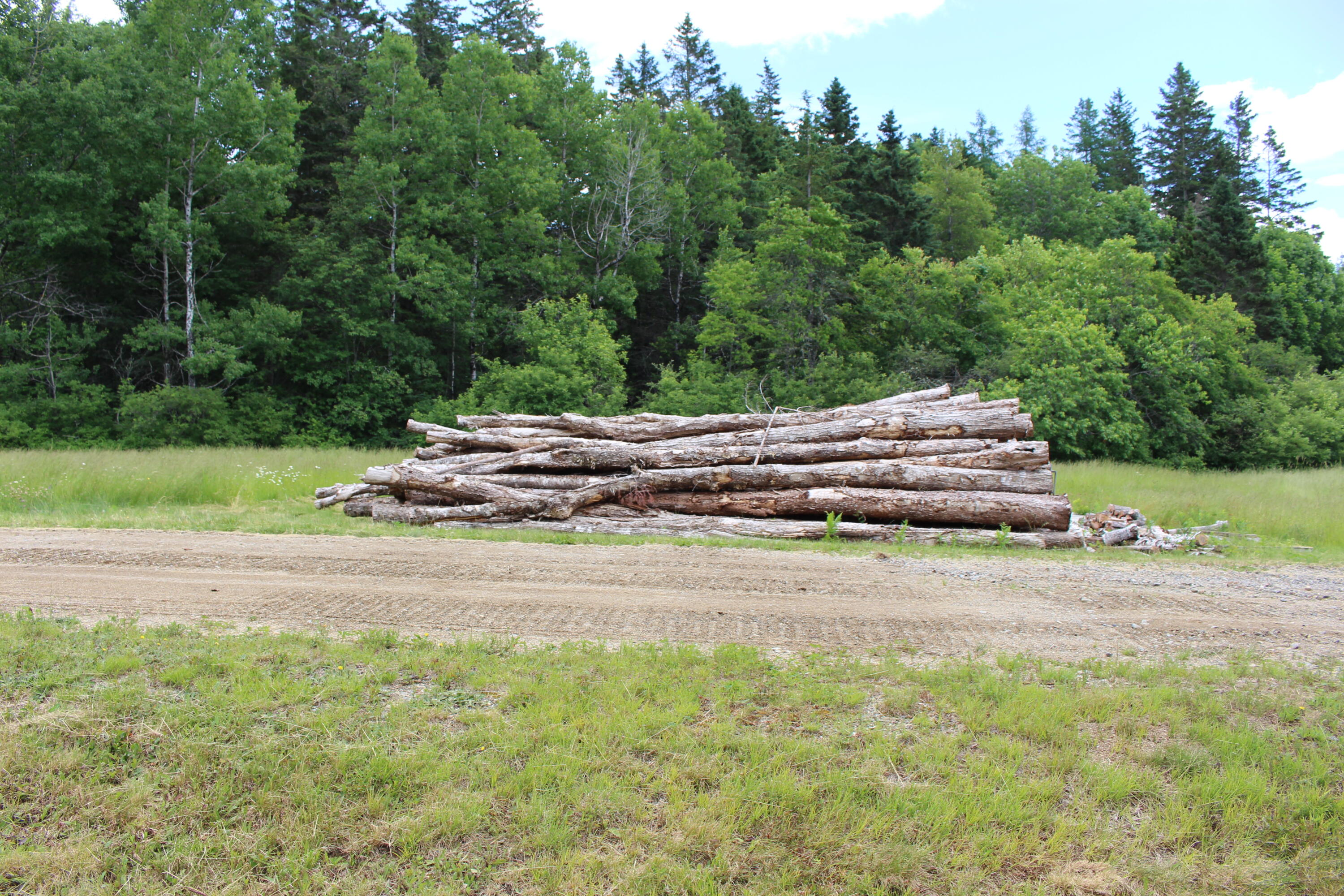 35 High Ridge Road Columbia Falls, ME 04623 - Photo 11 of 46 unsplit wood