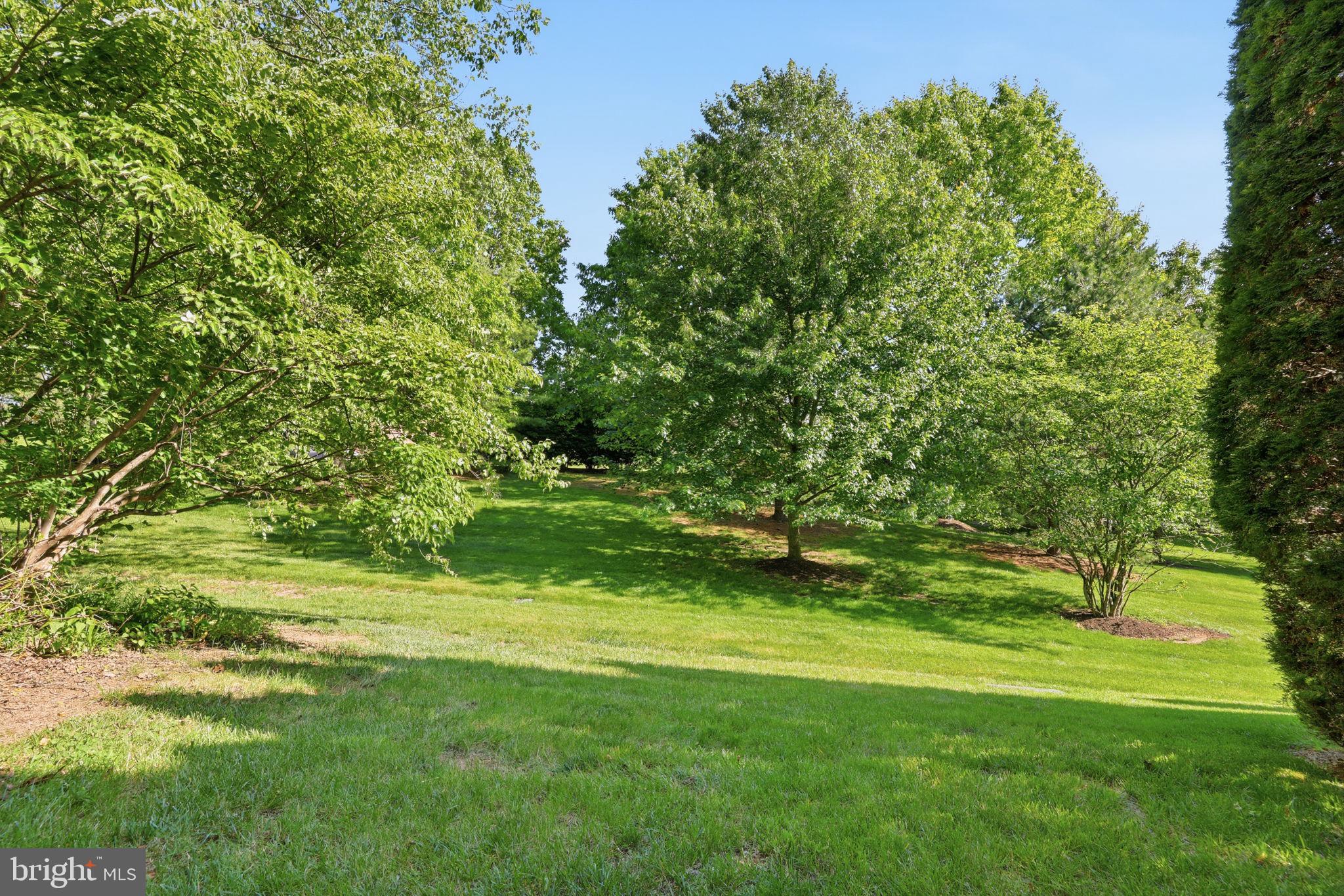 19 Addison Court Doylestown, PA 18901 - Photo 36 of 45 View from Patio and Deck