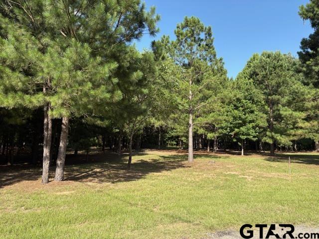 204 Pack Saddle Holly Lake Ranch, TX 75765 - Photo 2 of 11 a view of outdoor space with trees