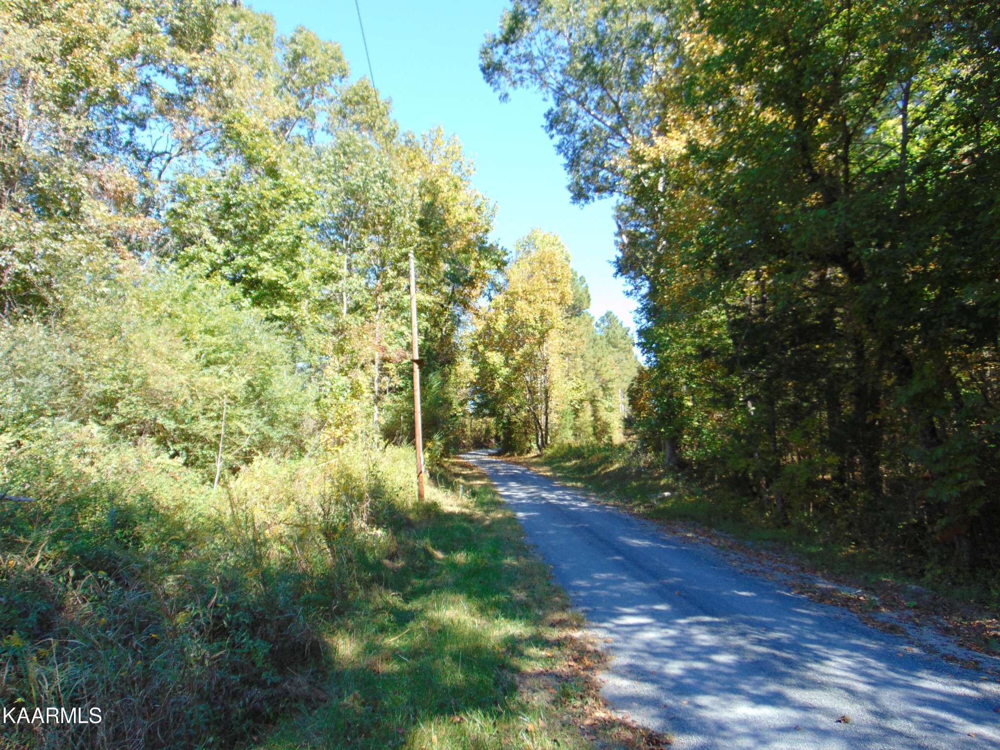 155 Cameron Road Decatur, TN 37322 - Photo 12 of 16