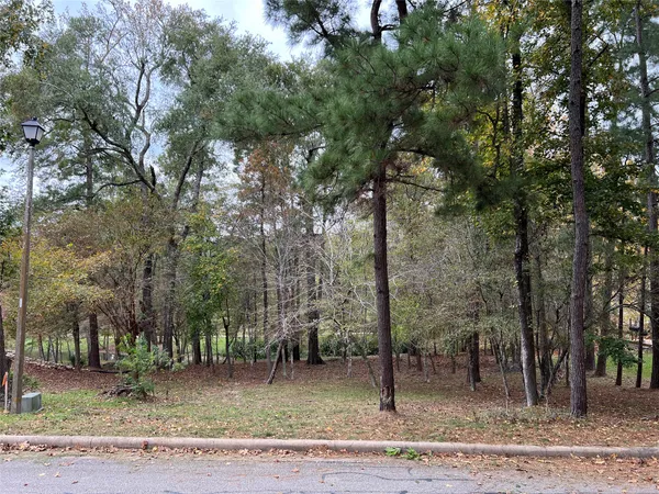 $34,999 | 2019 East Lake Drive, Huntsville, TX 77340