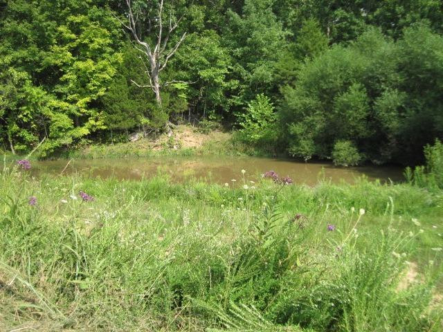 2175 Stringtown Road Corinth, KY 41010 - Photo 22 of 30 Gallery Image 22