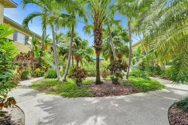 a view of a yard with plants and a large tree