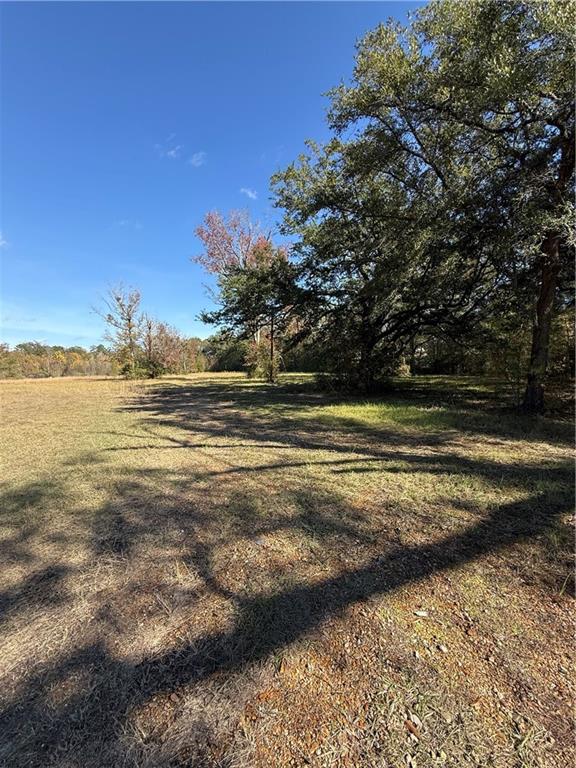 42202 South Range Road Ponchatoula, LA 70454 - Photo 2 of 4