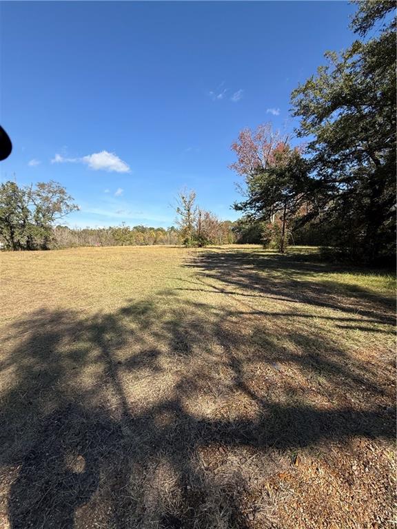 42202 South Range Road Ponchatoula, LA 70454 - Photo 3 of 4