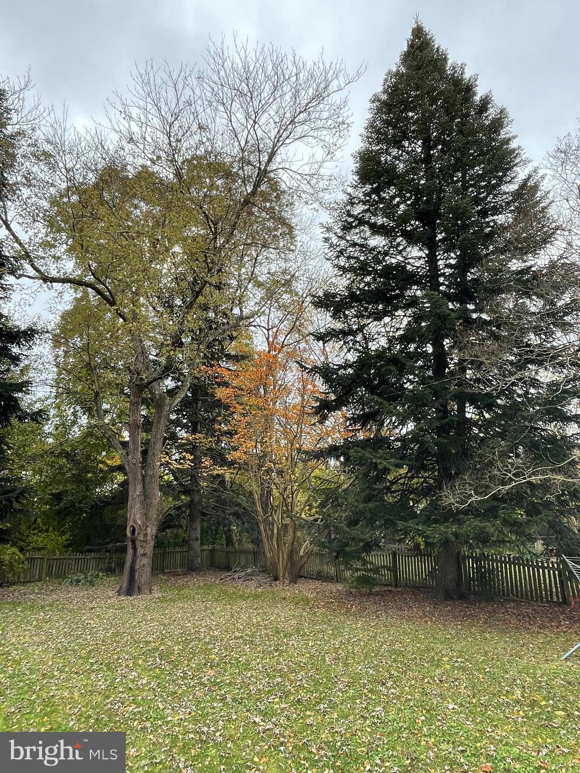 28575 Edgemere Road Easton, MD 21601 - Photo 29 of 47