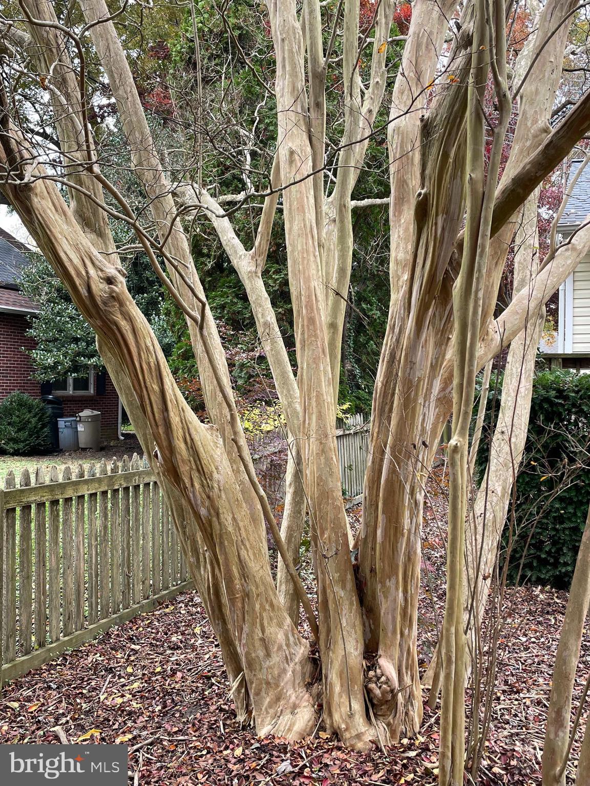 28575 Edgemere Road Easton, MD 21601 - Photo 33 of 47