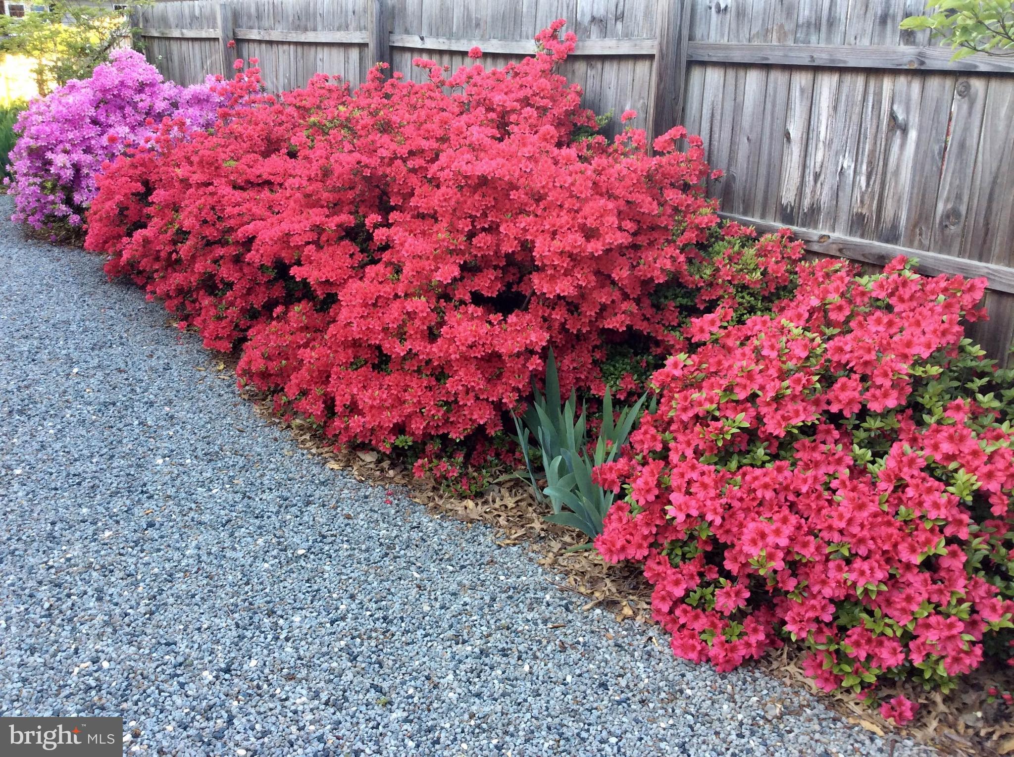 28575 Edgemere Road Easton, MD 21601 - Photo 34 of 47