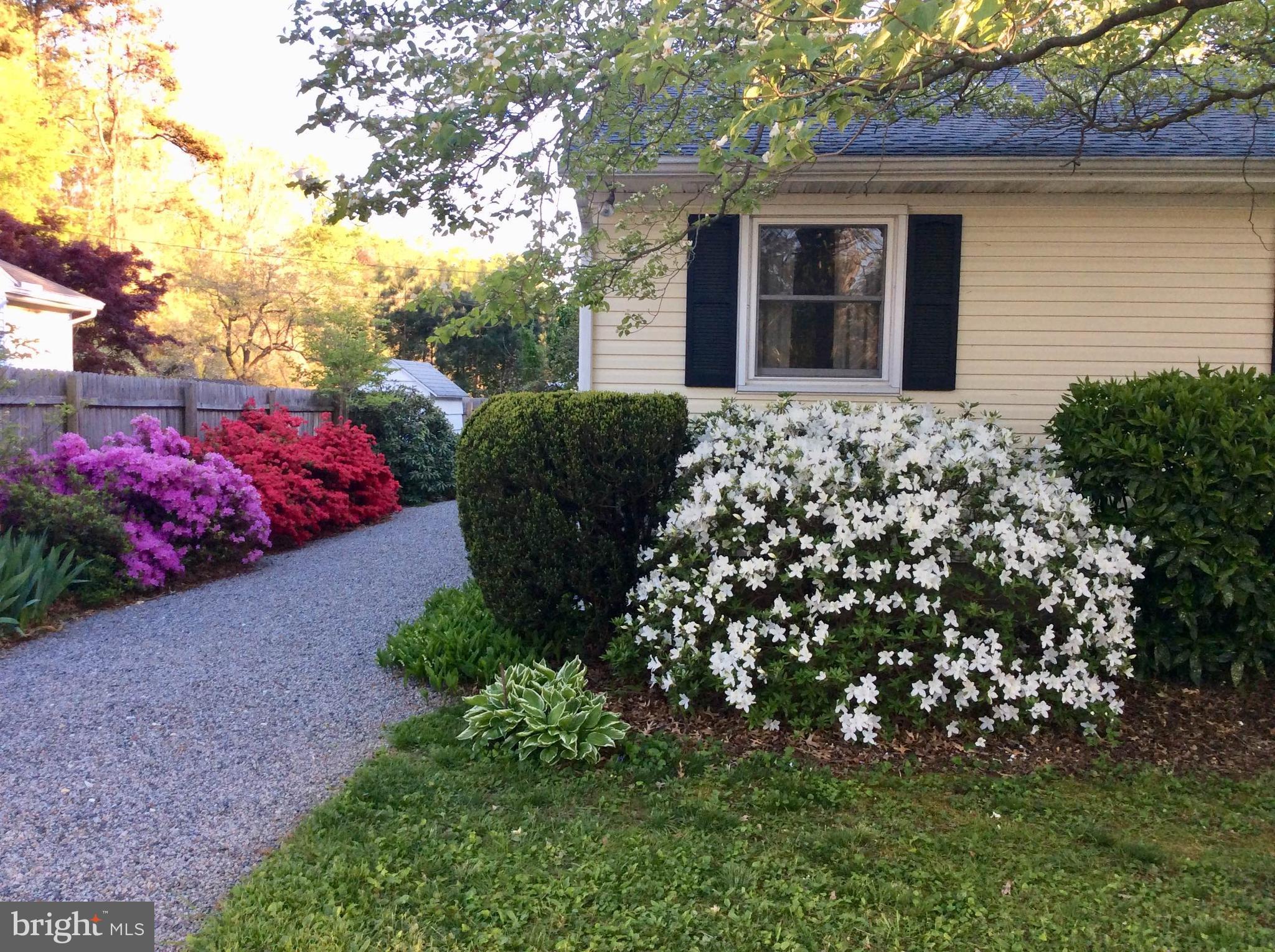 28575 Edgemere Road Easton, MD 21601 - Photo 36 of 47