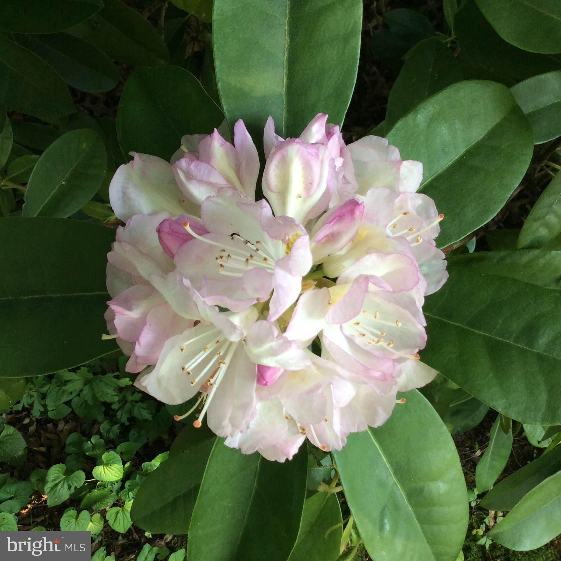 28575 Edgemere Road Easton, MD 21601 - Photo 37 of 47