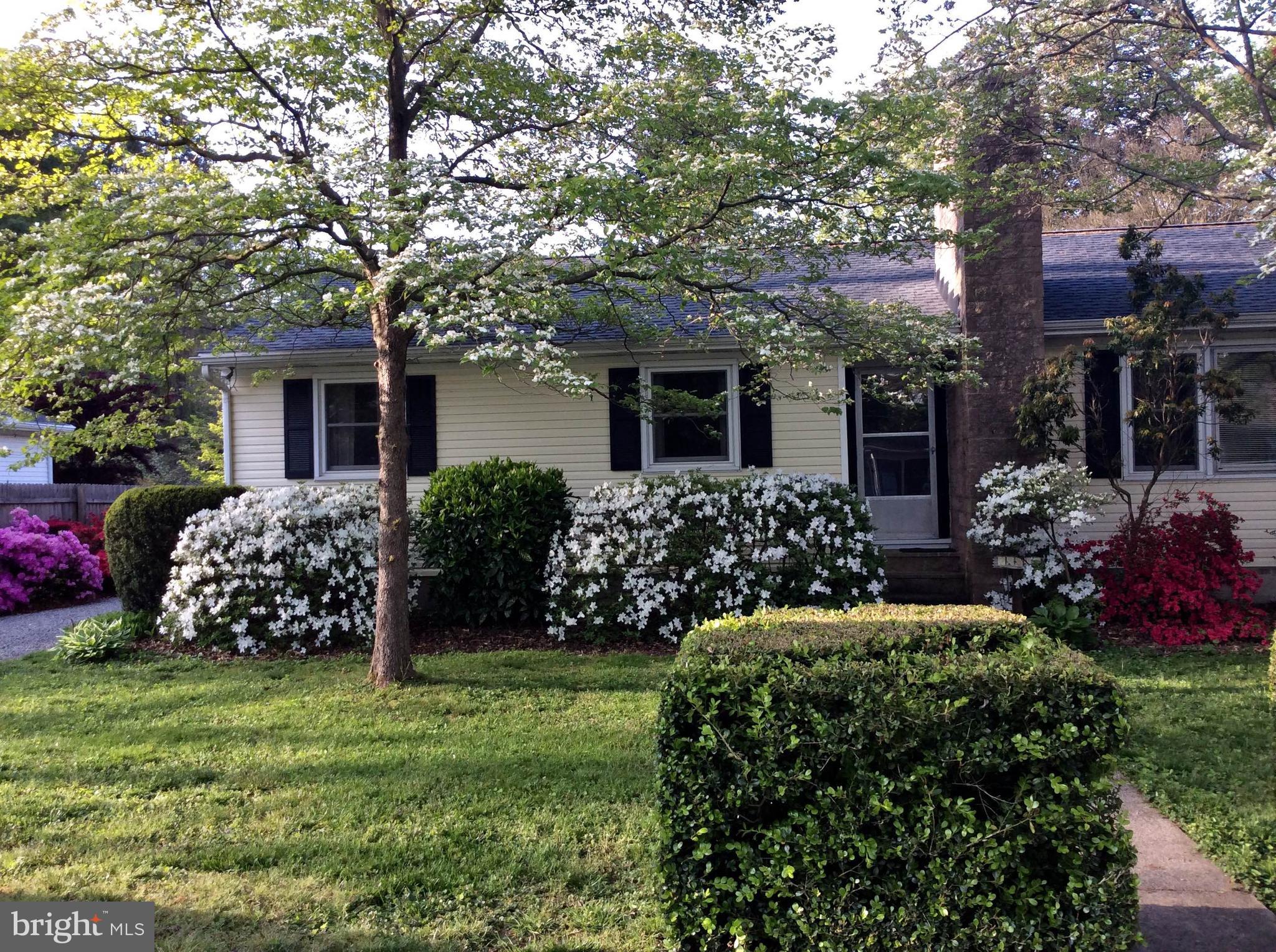 28575 Edgemere Road Easton, MD 21601 - Photo 38 of 47