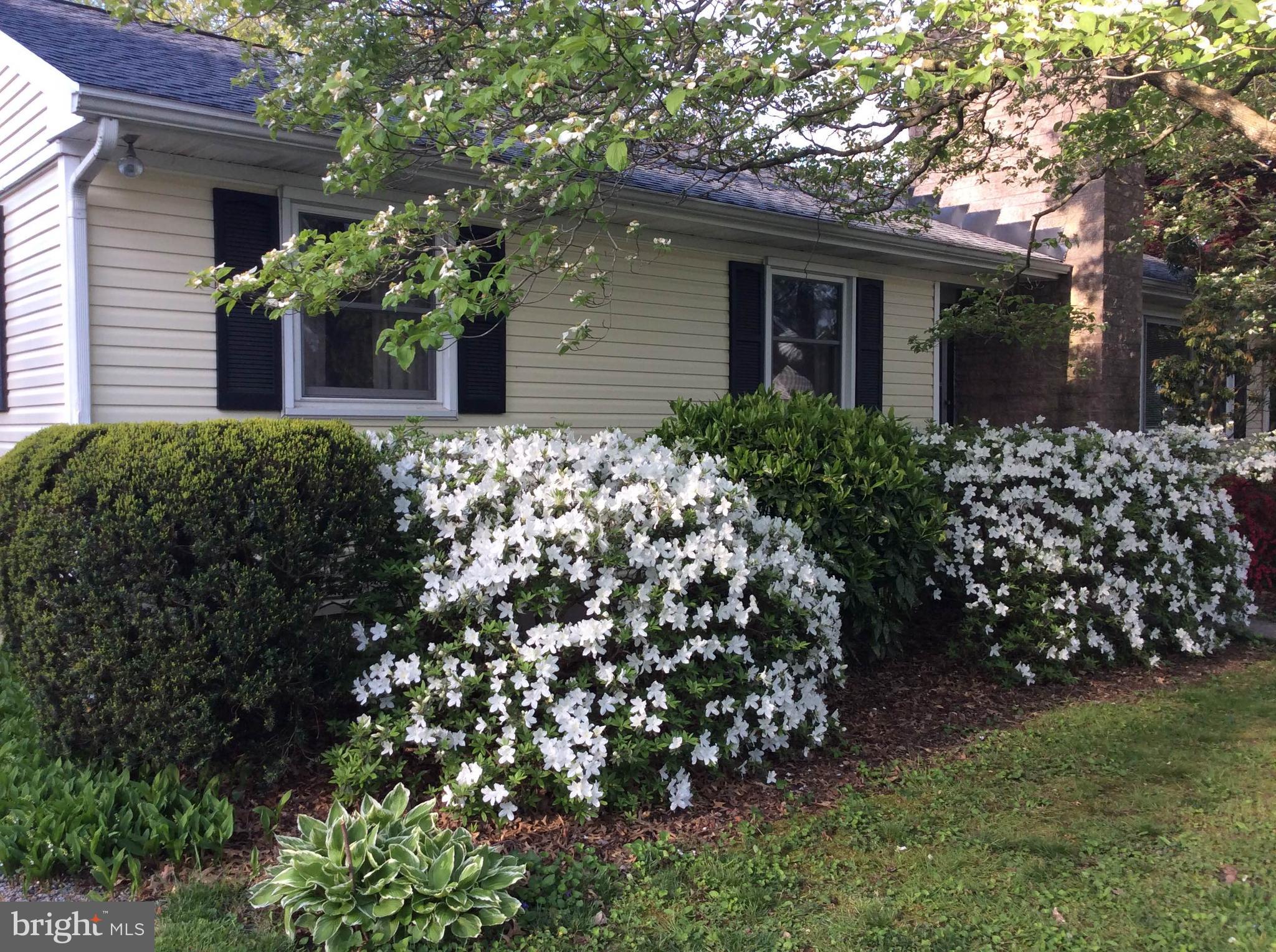 28575 Edgemere Road Easton, MD 21601 - Photo 40 of 47