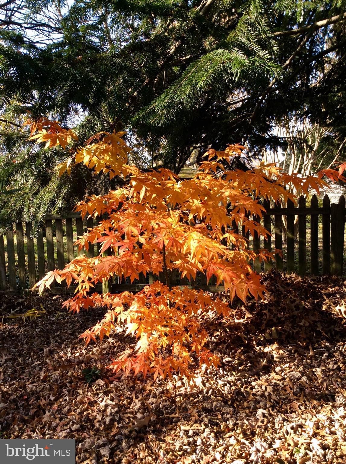 28575 Edgemere Road Easton, MD 21601 - Photo 45 of 47