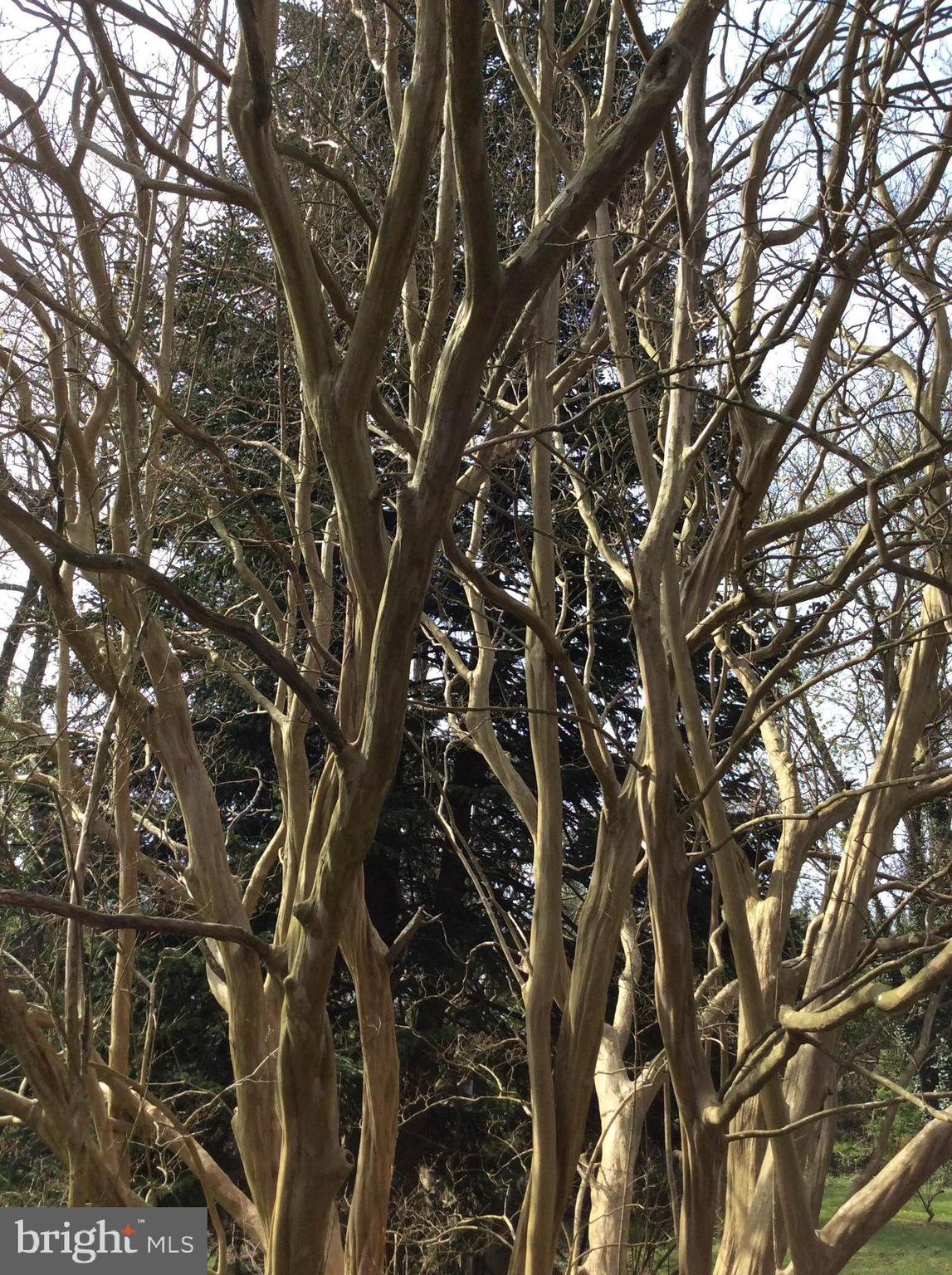 28575 Edgemere Road Easton, MD 21601 - Photo 47 of 47