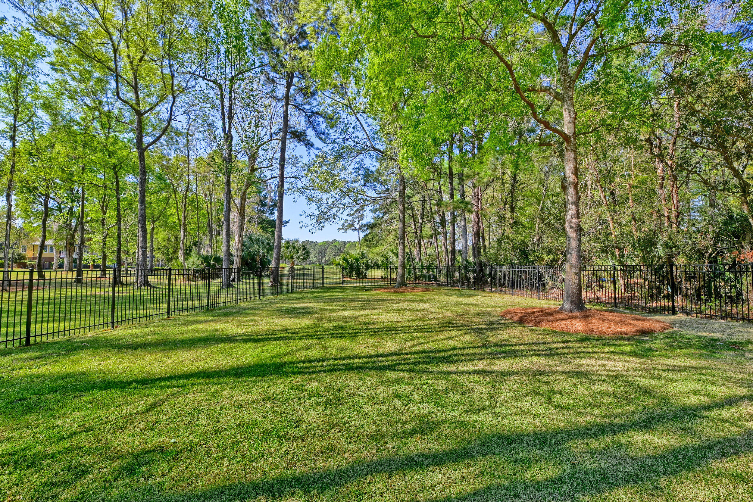 4002 Colonel Vanderhorst Circle Mount Pleasant, SC 29466 - Photo 29 of 90 4002 Colonel Vanderhorst-79