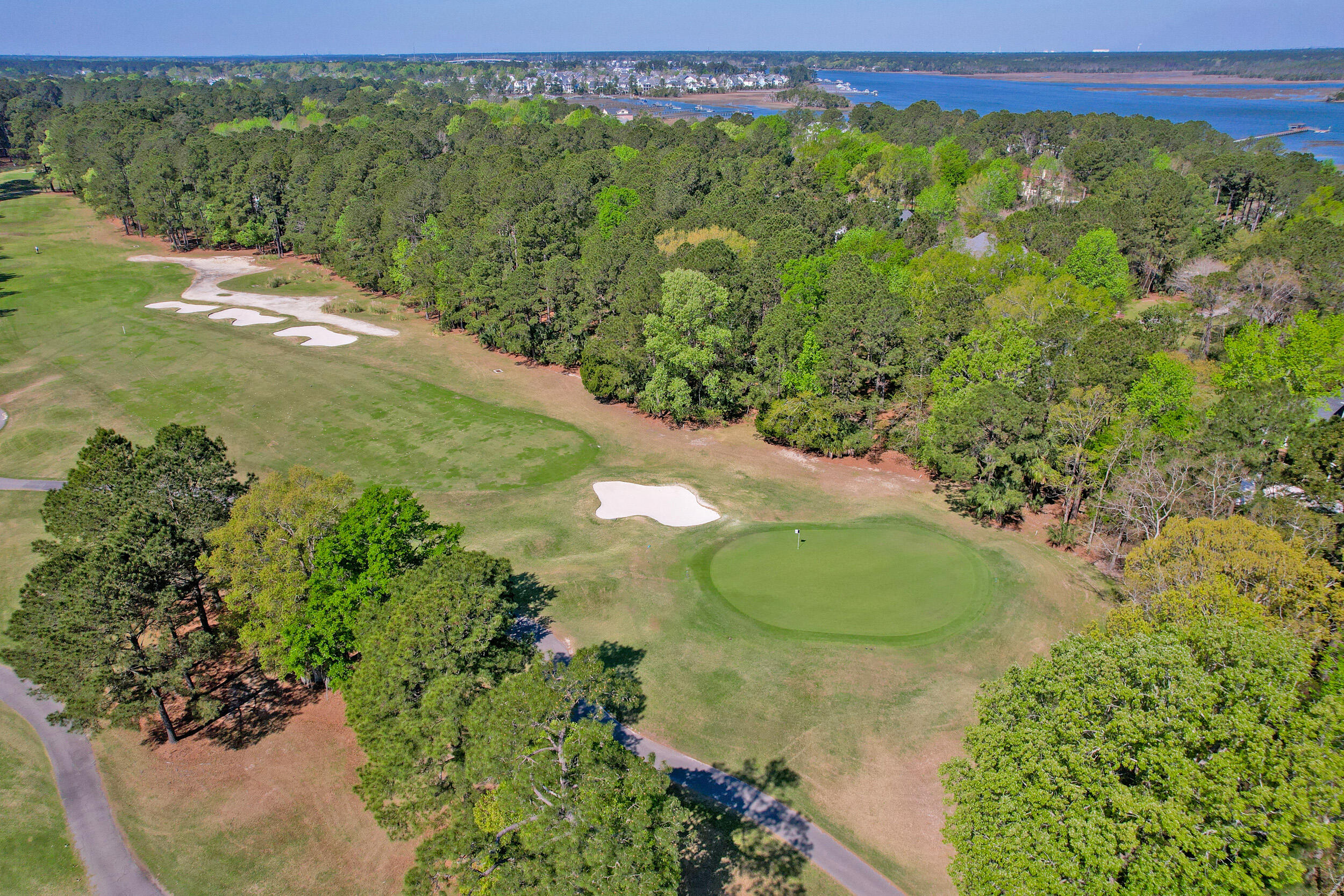 4002 Colonel Vanderhorst Circle Mount Pleasant, SC 29466 - Photo 8 of 90 4002 Colonel Vanderhorst-8