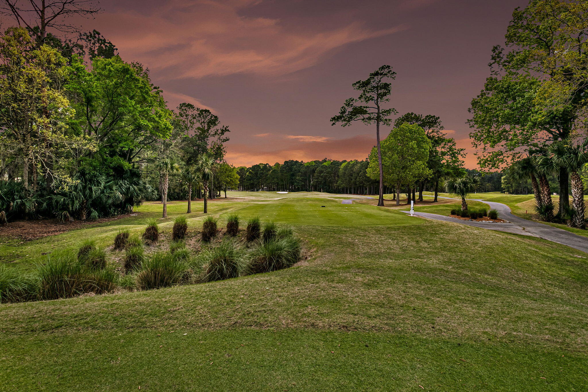 4002 Colonel Vanderhorst Circle Mount Pleasant, SC 29466 - Photo 9 of 90 CREM - 4002 Colonel Vanderhorst twilight